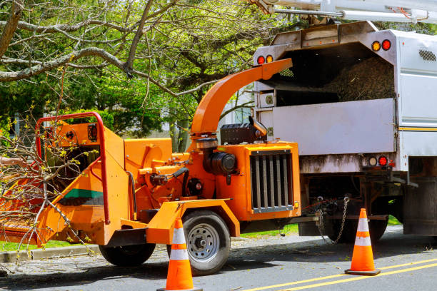 Best Tree and Shrub Care  in Redland, AL